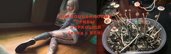 прущая мука Иннополис